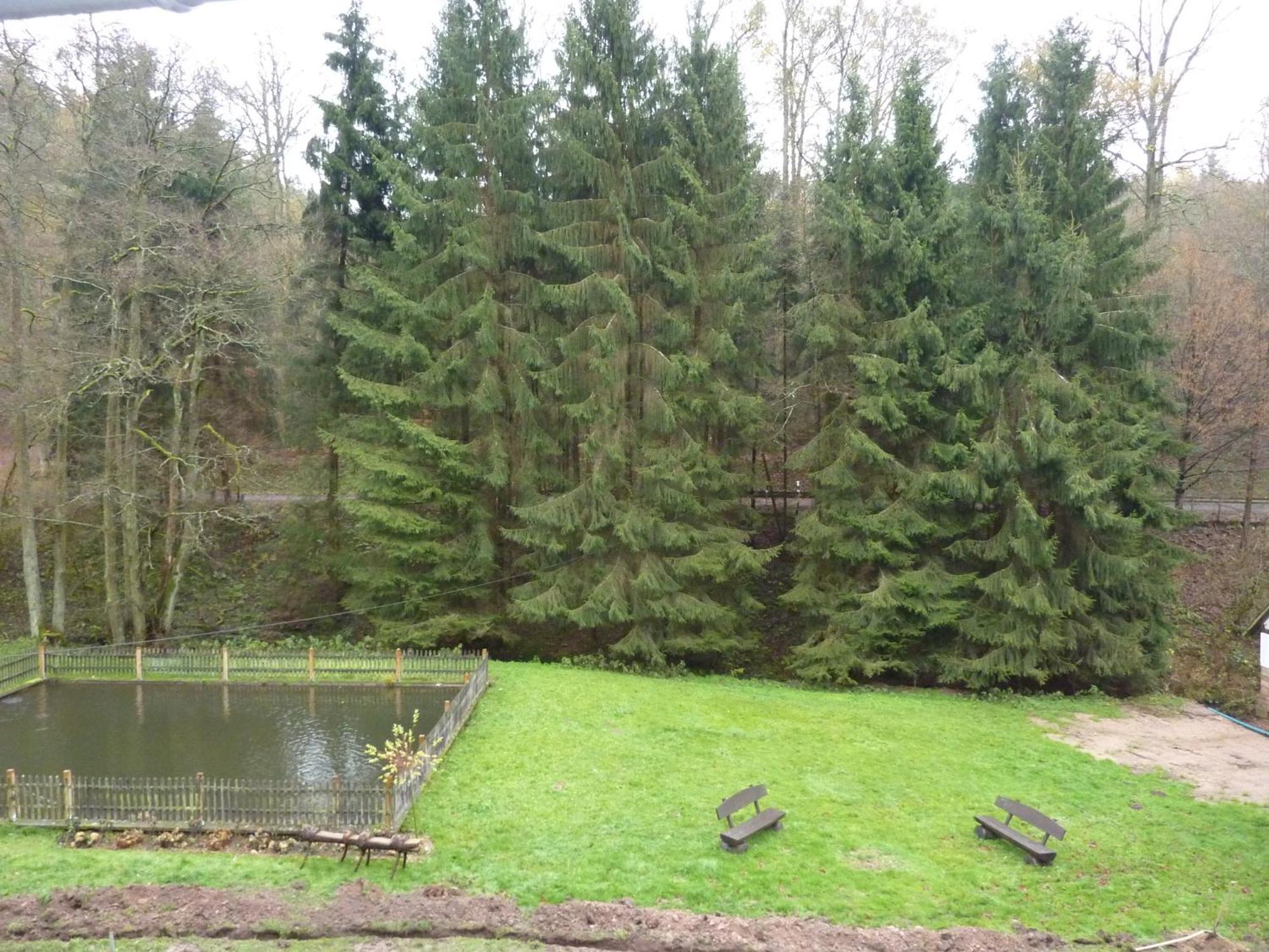 Hof Guttels Waldgasthof Ferienpension Rotenburg an der Fulda Room photo